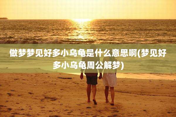 做梦梦见好多小乌龟是什么意思啊(梦见好多小乌龟周公解梦)