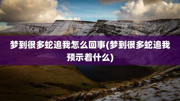 梦到很多蛇追我怎么回事(梦到很多蛇追我预示着什么)