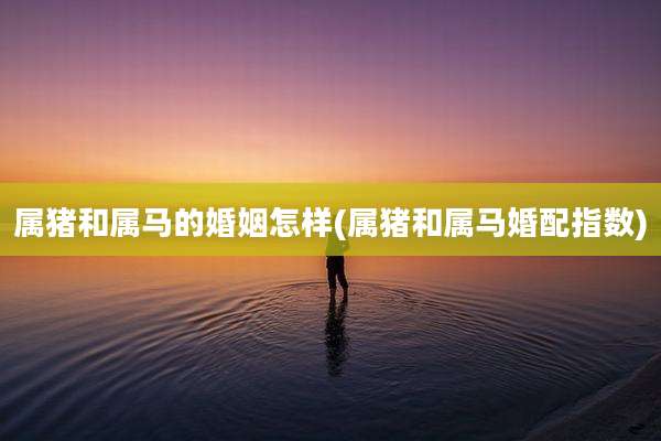 属猪和属马的婚姻怎样(属猪和属马婚配指数)