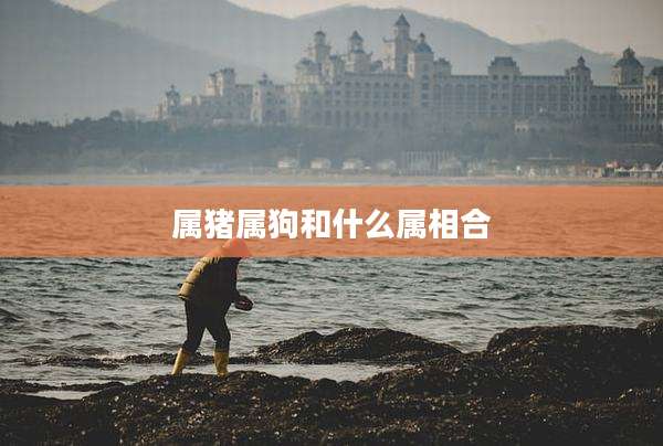 属猪属狗和什么属相合