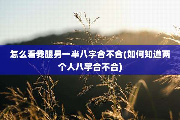 怎么看我跟另一半八字合不合(如何知道两个人八字合不合)