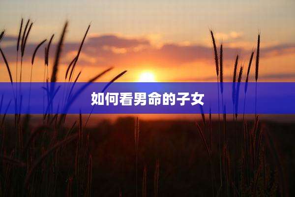 如何看男命的子女
