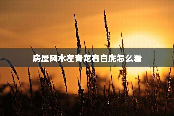 房屋风水左青龙右白虎怎么看