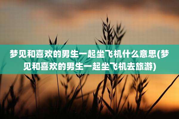 梦见和喜欢的男生一起坐飞机什么意思(梦见和喜欢的男生一起坐飞机去旅游)