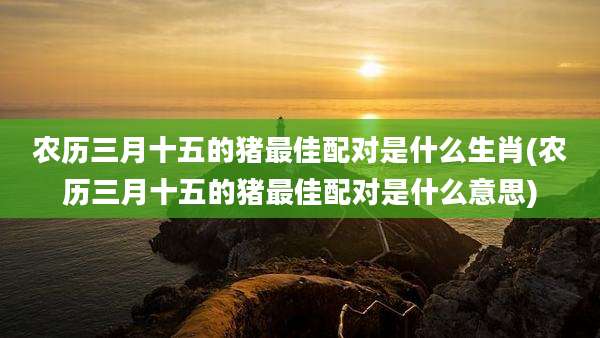 农历三月十五的猪最佳配对是什么生肖(农历三月十五的猪最佳配对是什么意思)