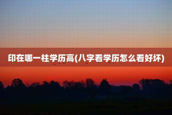 印在哪一柱学历高(八字看学历怎么看好坏)