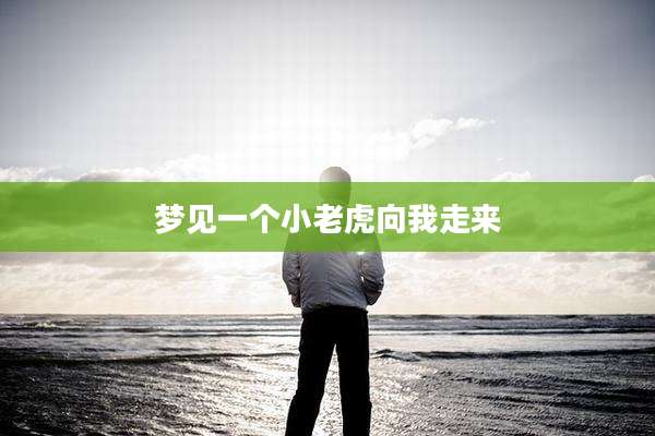 梦见一个小老虎向我走来