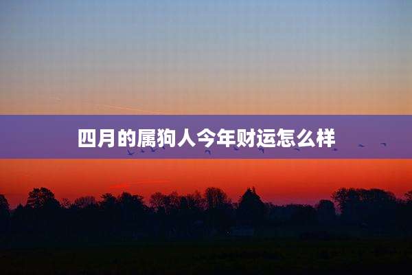 四月的属狗人今年财运怎么样