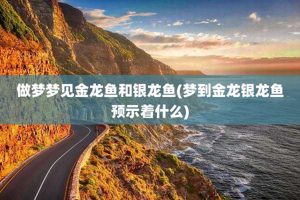 做梦梦见金龙鱼和银龙鱼(梦到金龙银龙鱼预示着什么)