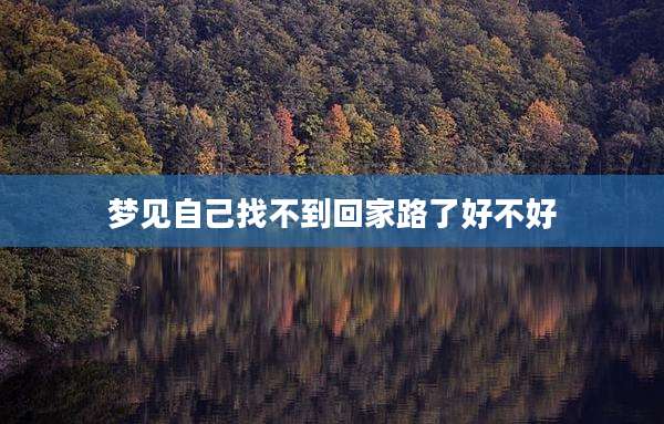 梦见自己找不到回家路了好不好