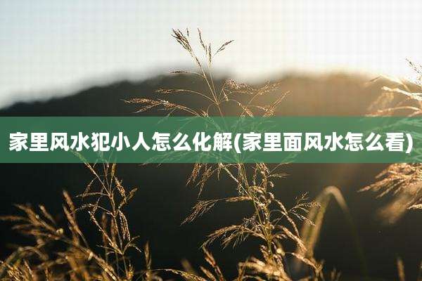 家里风水犯小人怎么化解(家里面风水怎么看)