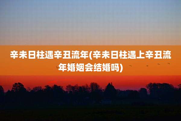 辛未日柱遇辛丑流年(辛未日柱遇上辛丑流年婚姻会结婚吗)