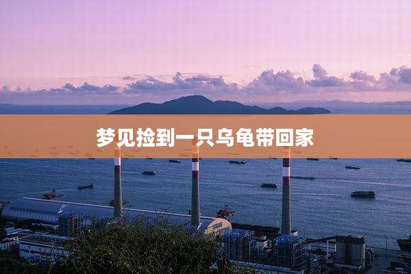 梦见捡到一只乌龟带回家
