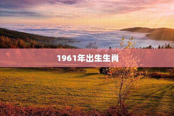 1961年出生生肖