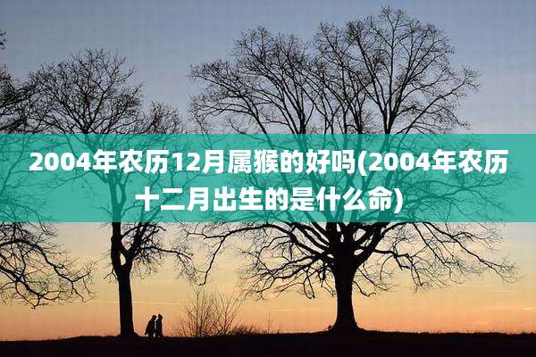 2004年农历12月属猴的好吗(2004年农历十二月出生的是什么命)