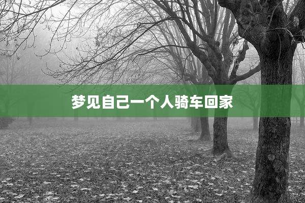 梦见自己一个人骑车回家