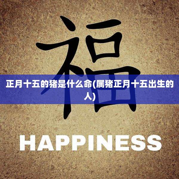 正月十五的猪是什么命(属猪正月十五出生的人)