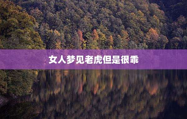 女人梦见老虎但是很乖