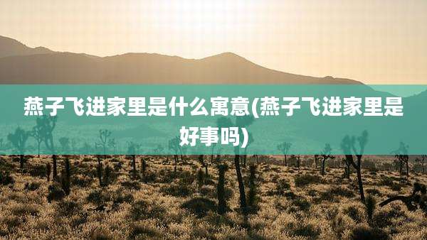 燕子飞进家里是什么寓意(燕子飞进家里是好事吗)