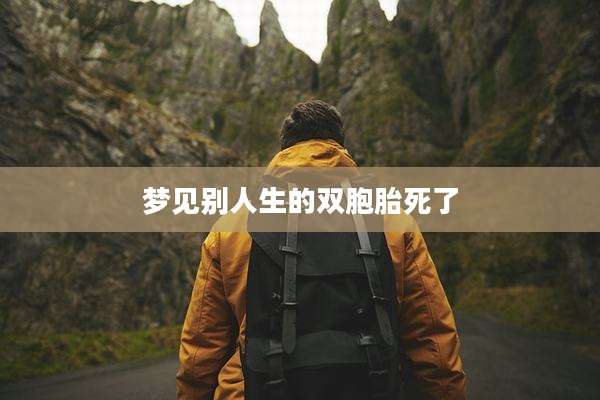 梦见别人生的双胞胎死了