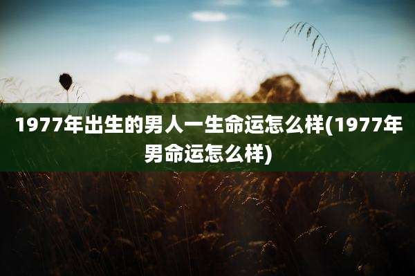 1977年出生的男人一生命运怎么样(1977年男命运怎么样)