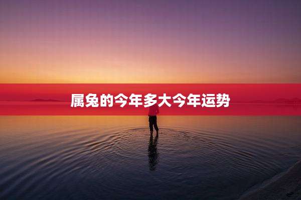属兔的今年多大今年运势