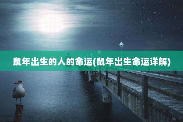 鼠年出生的人的命运(鼠年出生命运详解)