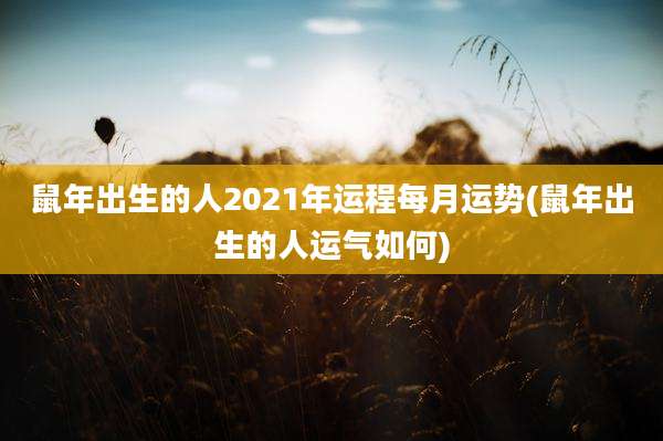鼠年出生的人2021年运程每月运势(鼠年出生的人运气如何)