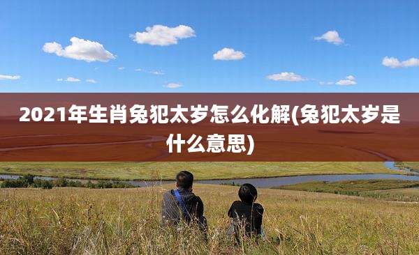2021年生肖兔犯太岁怎么化解(兔犯太岁是什么意思)