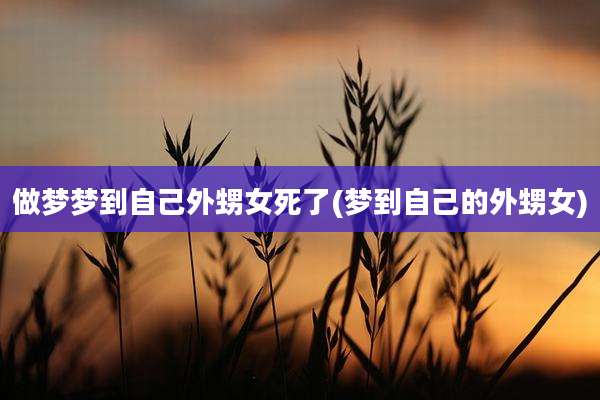 做梦梦到自己外甥女死了(梦到自己的外甥女)