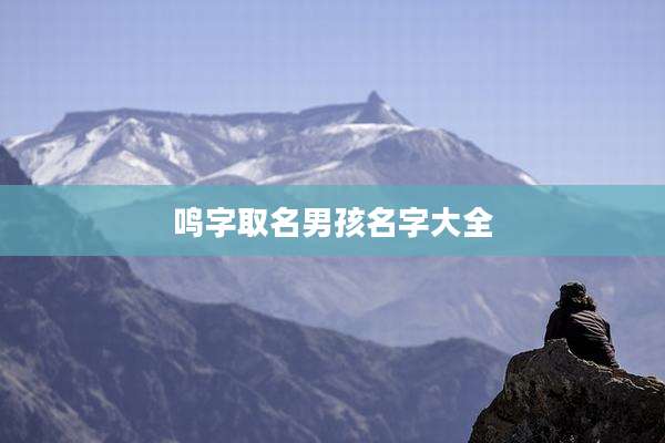鸣字取名男孩名字大全