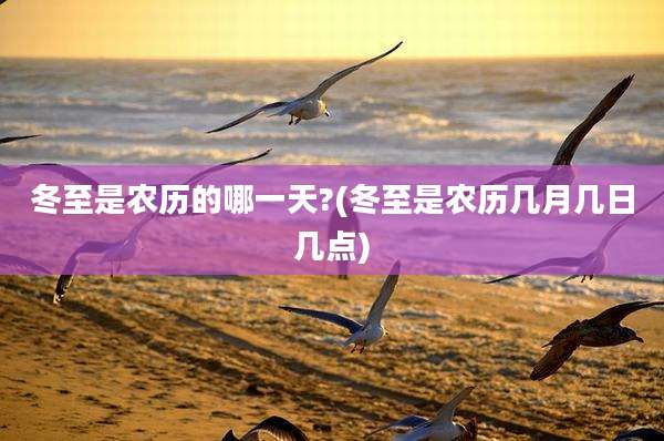 冬至是农历的哪一天?(冬至是农历几月几日几点)