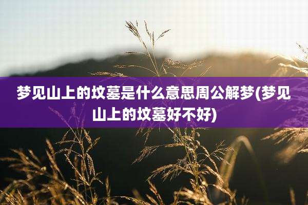 梦见山上的坟墓是什么意思周公解梦(梦见山上的坟墓好不好)