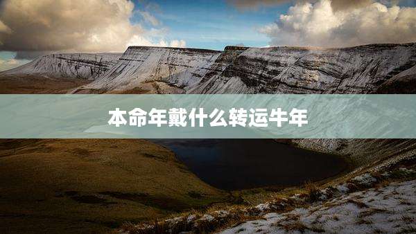 本命年戴什么转运牛年