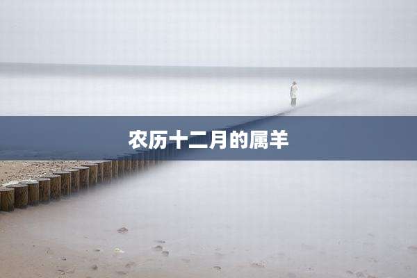 农历十二月的属羊