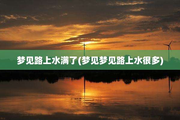 梦见路上水满了(梦见梦见路上水很多)