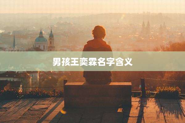 男孩王奕霖名字含义