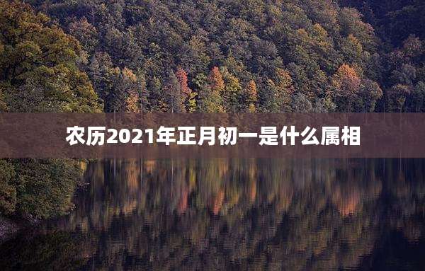 农历2021年正月初一是什么属相