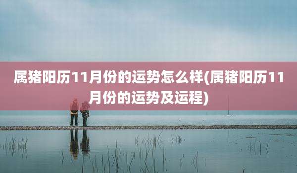 属猪阳历11月份的运势怎么样(属猪阳历11月份的运势及运程)
