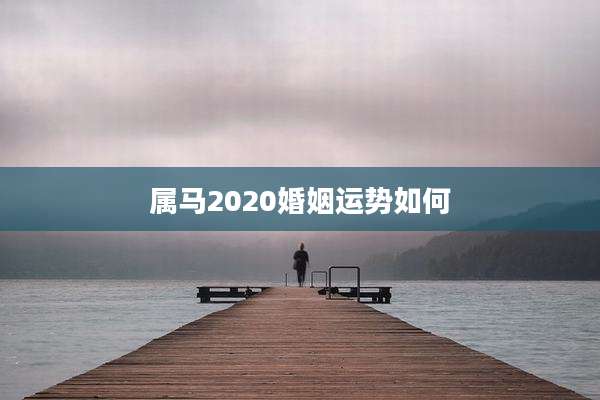 属马2020婚姻运势如何