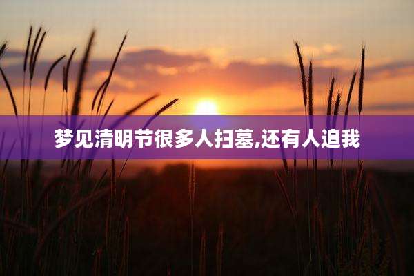 梦见清明节很多人扫墓,还有人追我