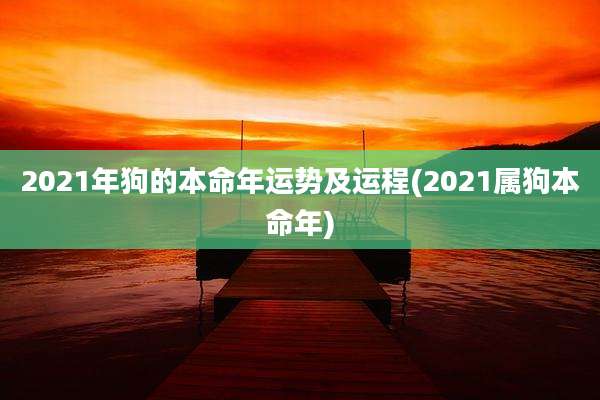 2021年狗的本命年运势及运程(2021属狗本命年)