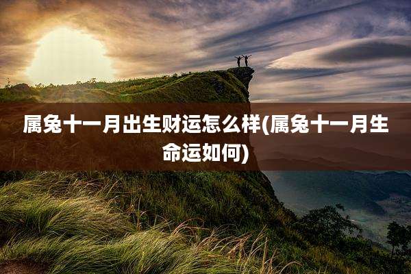 属兔十一月出生财运怎么样(属兔十一月生命运如何)
