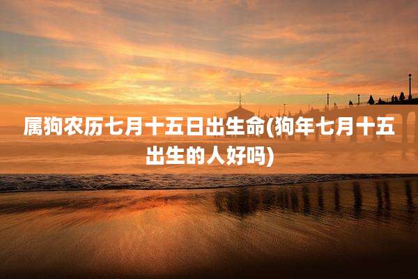 属狗农历七月十五日出生命(狗年七月十五出生的人好吗)