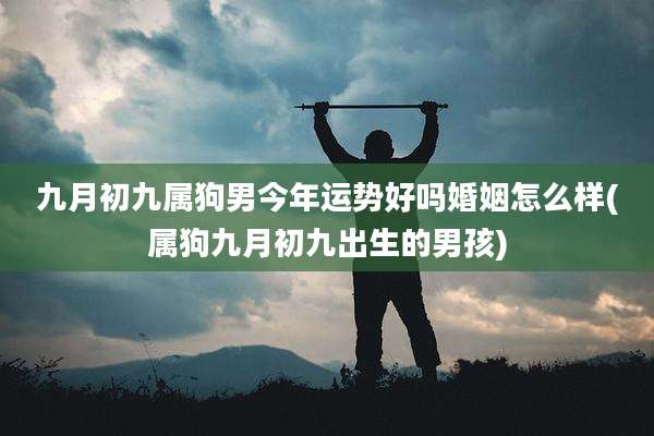 九月初九属狗男今年运势好吗婚姻怎么样(属狗九月初九出生的男孩)