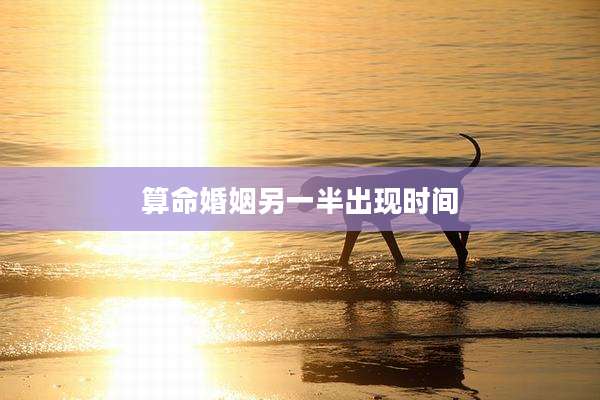 算命婚姻另一半出现时间