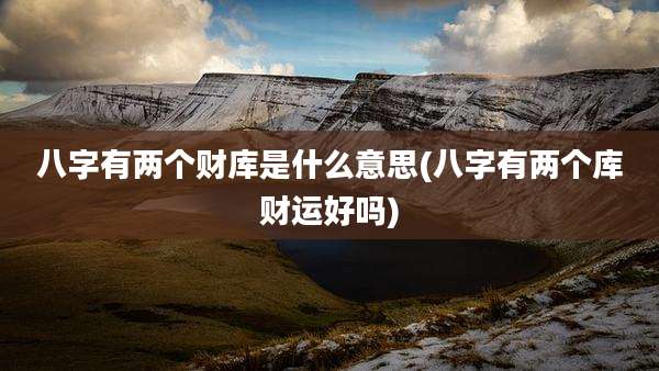 八字有两个财库是什么意思(八字有两个库财运好吗)