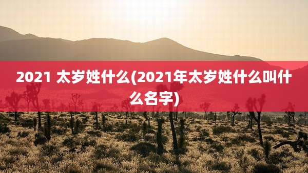 2021 太岁姓什么(2021年太岁姓什么叫什么名字)