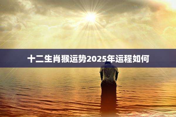 十二生肖猴运势2025年运程如何