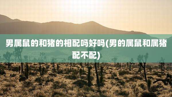 男属鼠的和猪的相配吗好吗(男的属鼠和属猪配不配)